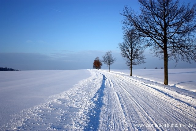Winterlicher Weg