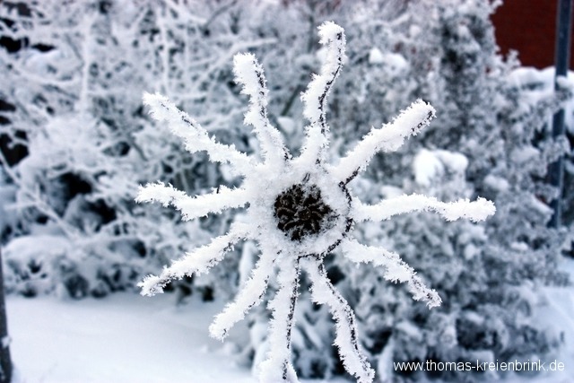 Frostige Sonne