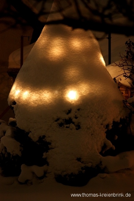 Beleuchtetes Schneeglöckchen