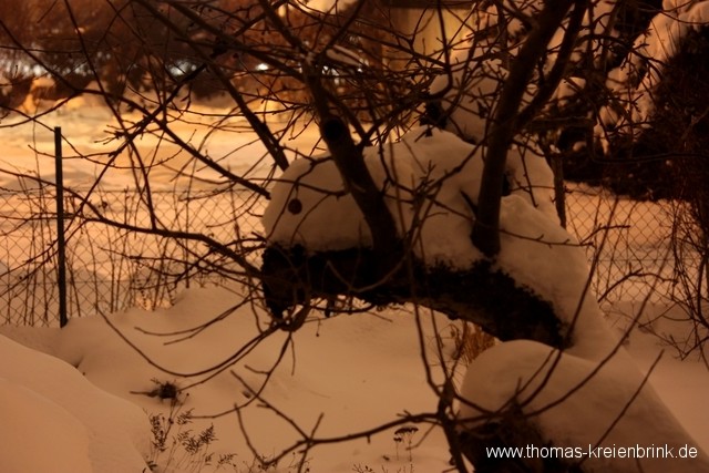 Mal wieder abends auf der Pirsch…
