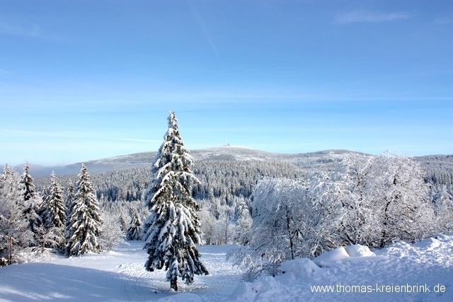 Harz – Sonniger Blick von Torfhaus zum Brocken